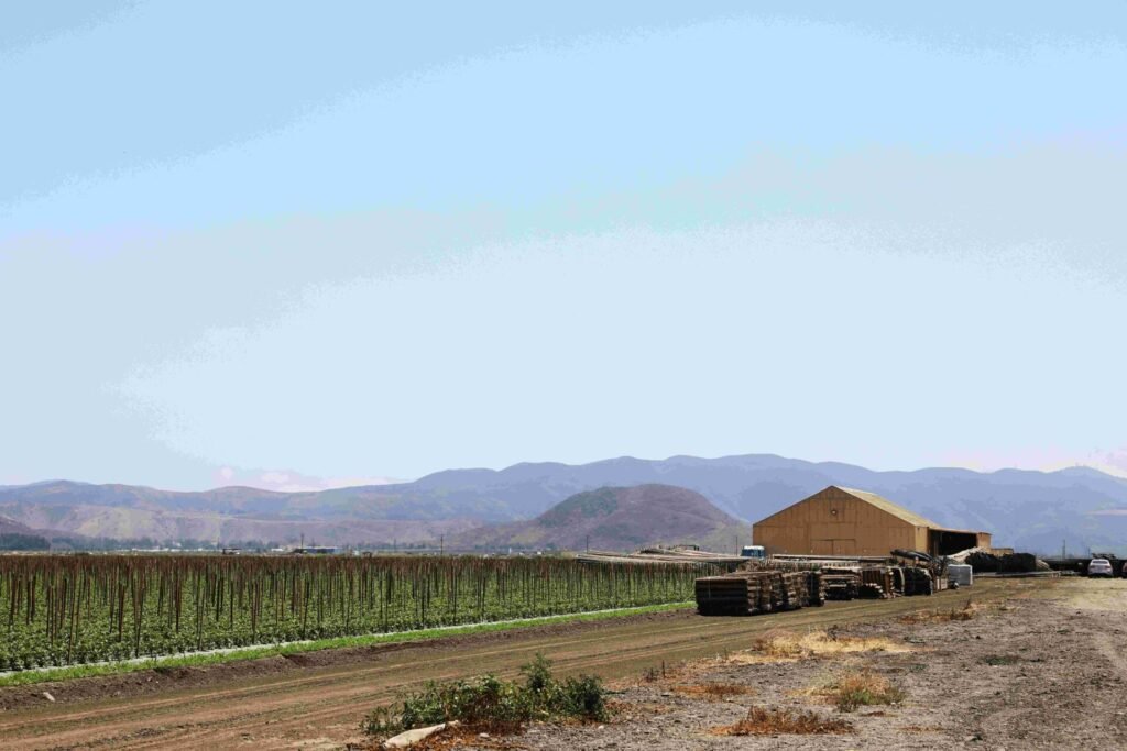 مثبت تصوير ذكي، من أبرز الابتكارات التكنولوجية لصناع المحتوى.